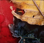 Type O Negative : October Rust (2xLP, Album, Dlx, RE, 180)