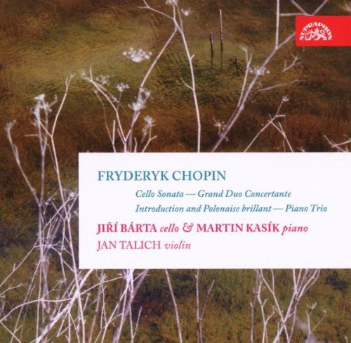 the album cover for Martin KasÃ­k - Works for Cello (Complete)