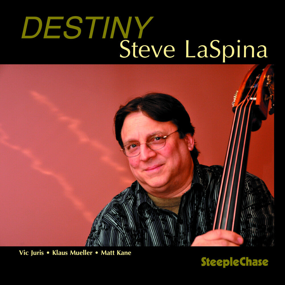 the album cover for Steve Laspina - Destiny