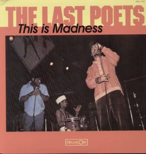 ザ・ラスト・ポエッツ - This Is Madness (レコード)