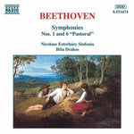 the album cover for Nicolaus Esterhazy Sinfonia - Symphony 1 & 6