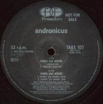 Andronicus : Make You Whole (12", Promo)