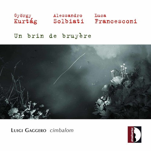 the album cover for Luigi Gaggero - Music for Cimbalom