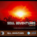 the album cover for Rasa Living Wellness Presents Reiki - Soul Adventures, Vol. 1: A Journey Through Music To Healing and Relaxation