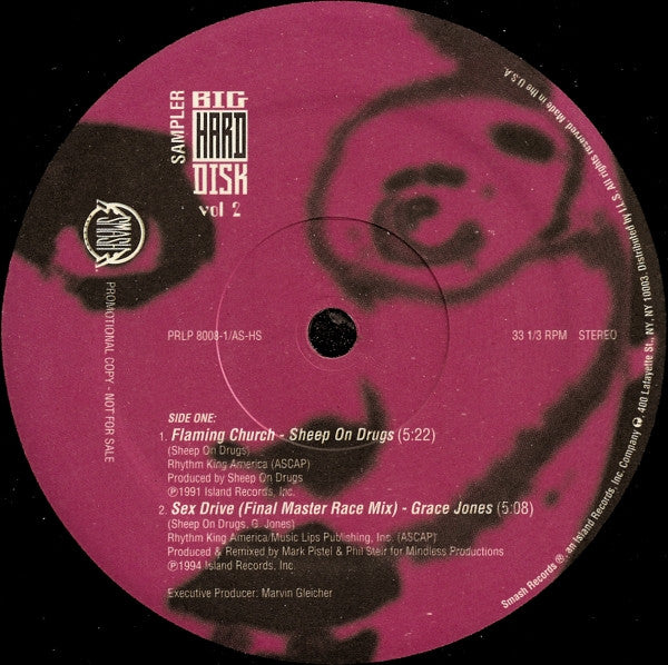 Various : Selections From Big Hard Disk Vol. 2 (12", Promo, Smplr)
