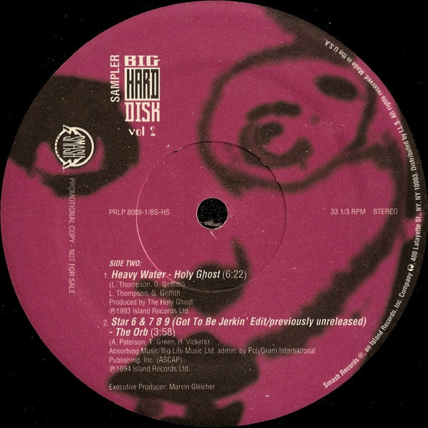 Various : Selections From Big Hard Disk Vol. 2 (12", Promo, Smplr)
