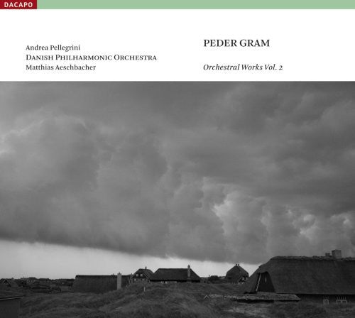 the album cover for Danish Philharmonic Orchestra - Orchestral Works 2 / Symphonies 2 & 3 Avalon