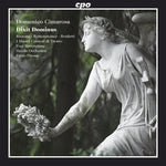 the album cover for Fabio Pirona - Dixit Dominus