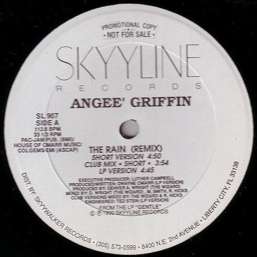 Angeé Griffin* : The Rain (Remix) (12", Promo)