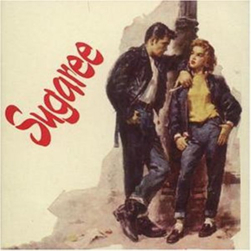 the album cover for Sugarfree - Sugaree