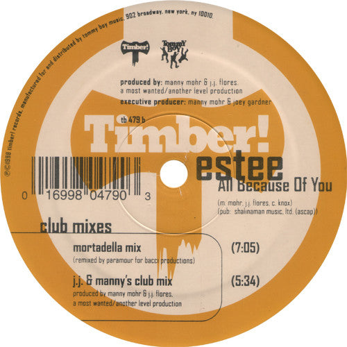 Estee : All Because Of You (2x12")