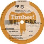 Estee : All Because Of You (2x12")