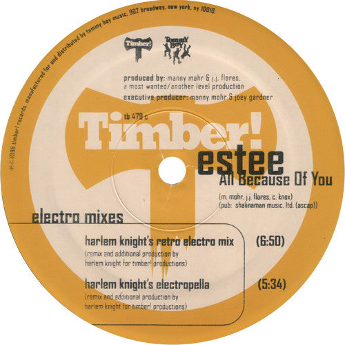 Estee : All Because Of You (2x12")