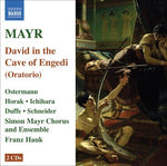 the album cover for Merit Ostermann - David in Spelunca Engaddi
