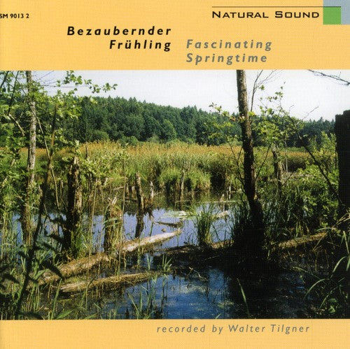 the album cover for Tilgner - Fascinating Springtime