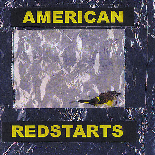 the album cover for Paul Sigismondi - American Redstarts