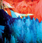 the album cover for Dykeritz - Rearrangerologyistcs