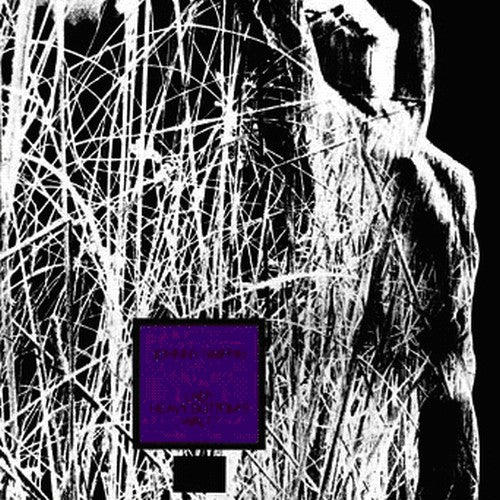 the album cover for Johnny Griffin - Lady Heavy Bottoms Waltz [Import]