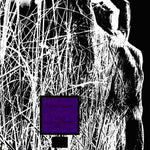 the album cover for Johnny Griffin - Lady Heavy Bottoms Waltz [Import]