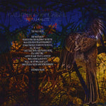 the album cover for Caliche Con Carne - Time Is Absolute