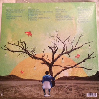 Salim Nourallah : Somewhere South Of Sane (2xLP, Gat)