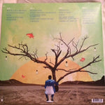 Salim Nourallah : Somewhere South Of Sane (2xLP, Gat)