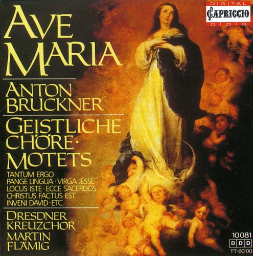 the album cover for Dresdner Kreuzchor - Sacred Motets