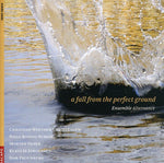 the album cover for Various Artists - Fall from the Perfect Ground