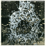 the album cover for Past Lives - Strange Symmetry