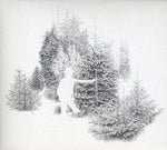 the album cover for Barr - Skogsbo Is the Place