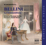 the album cover for David Timson - Introduction to Sonnambula: Opera Explained