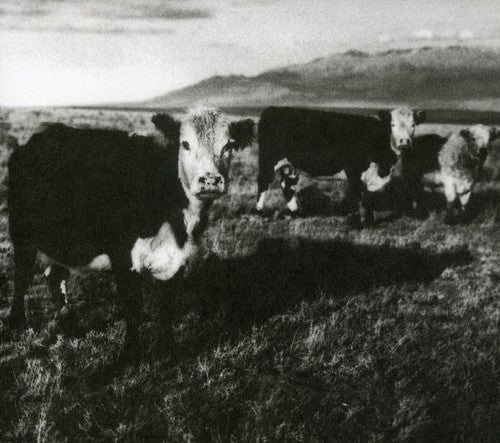 Mark Kozelek - Finalmente (CD)