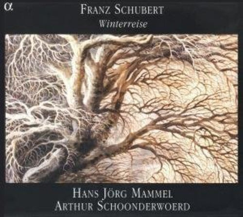the album cover for Arthur Schoonderwoerd - Winterreise