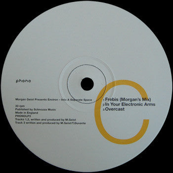 Morgan Geist : Environ (Into A Separate Space) (2xLP, Comp)