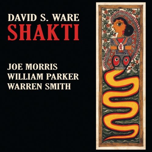 the album cover for David S. Ware - Shakti
