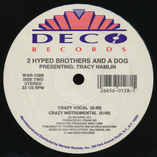 2 Hyped Brothers And A Dog* Presenting Tracy Hamlin : Swing (To The Music) (12")