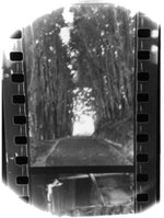 シーヘイヴン - ウィンター・フォーエバー (ビニールレコード)