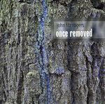 the album cover for John Fitz Rogers - Once Removed