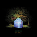 Dan Deacon - Bromst (Vinyl)