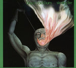 Bruce Cockburn - Stealing Fire (CD)