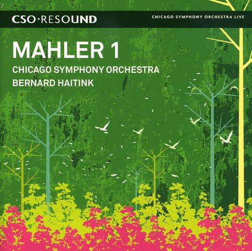 the album cover for Bernard Haitink - Symphony No. 1