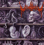 the album cover for In Memorium - Lost to Antiquity