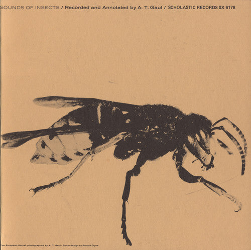 ヴァリアス・アーティスト - Sounds of Insects / Various (CD)