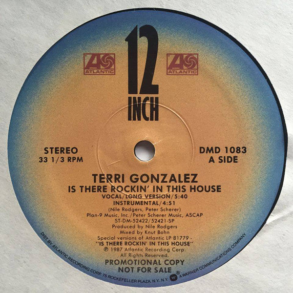Terri Gonzalez : Is There Rockin' In This House (12", Promo)