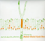 the album cover for Maher Shalal Hash Baz - C'est la Derniere Chanson
