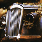 the album cover for Myall-Lake - Reborn