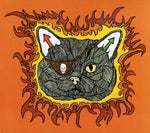 the album cover for Push Pull - Between Noise & the Indians