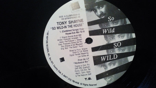 Tony Shayne : Wild House / So Wild (12")