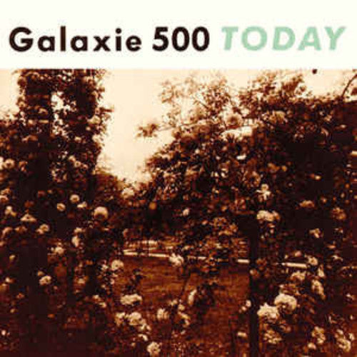 Galaxie 500 - Hoy (Vinilo)
