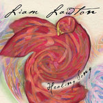 the album cover for Liam Lawton - Inspirational